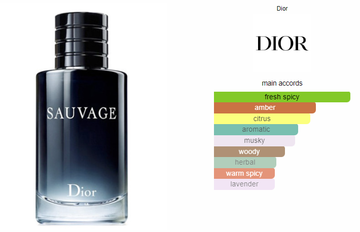 Christian Dior Sauvage EDT 100ml Scents Manila
