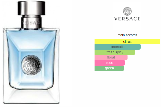 Versace Pour Homme 100ml